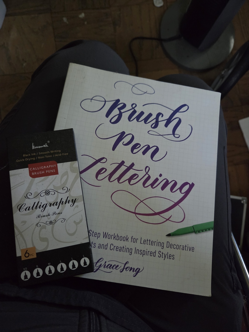 New Never Used Calligraphy Brush Pens Set - Black Ink With workbook